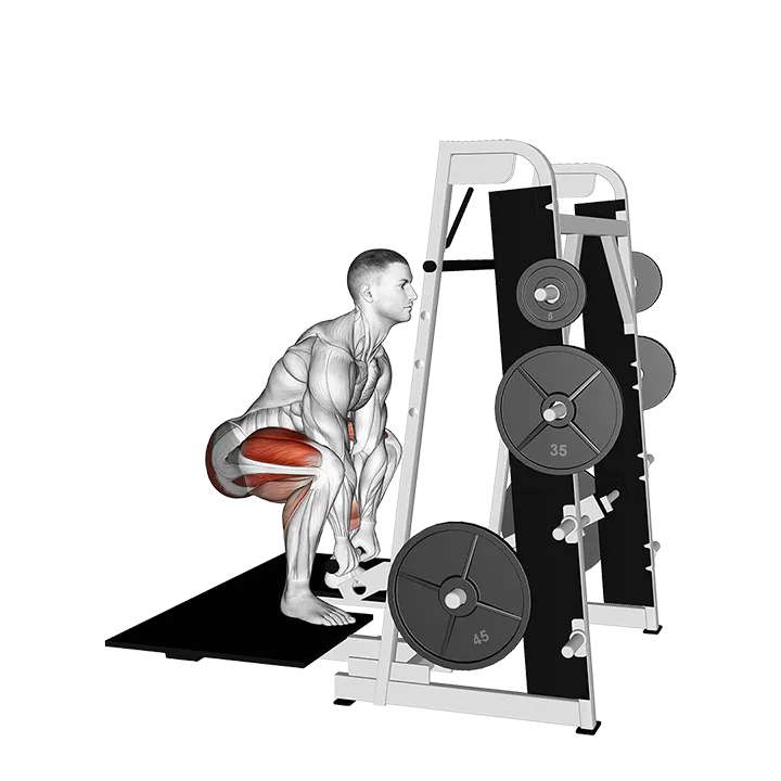 Lever Belt Deadlift (straight bar) exercise animation (Male)