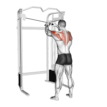 Cable 45 degrees Reverse Grip Reverse Fly