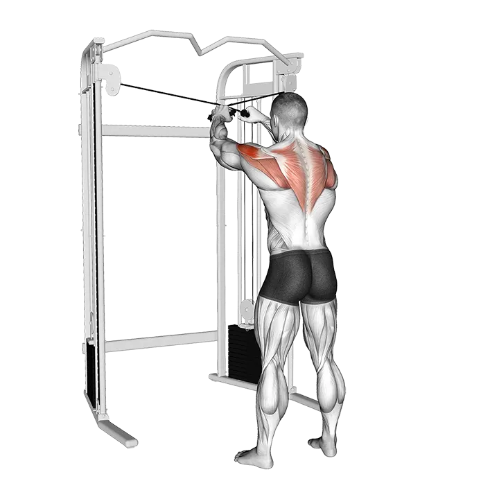 Cable 45 degrees Reverse Grip Reverse Fly exercise animation (Male)