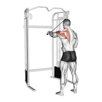Cable 45 degrees Single Arm Reverse Fly