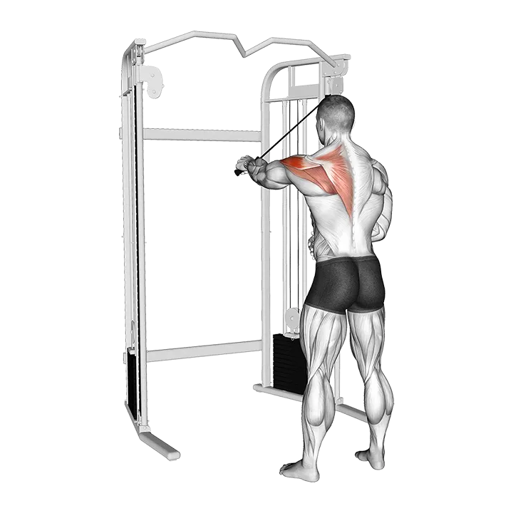 Cable 45 degrees Single Arm Reverse Fly exercise animation (Male)