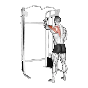 Cable 45 degrees Single Arm Reverse Grip Reverse Fly