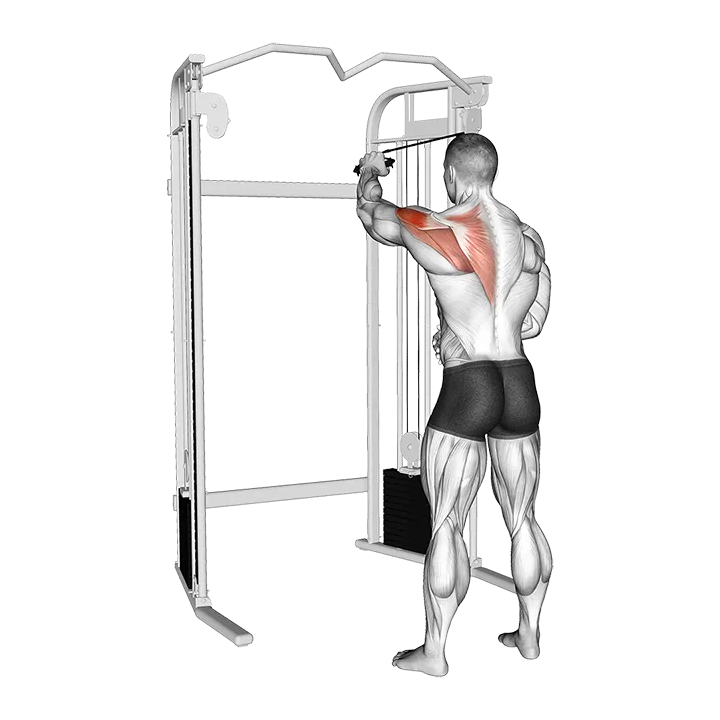 Cable 45 degrees Single Arm Reverse Grip Reverse Fly exercise animation (Male)