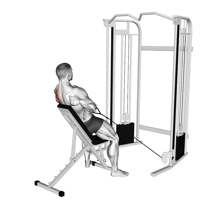 Cable Incline Single Arm Y Raise with Back Support exercise animation (Male)