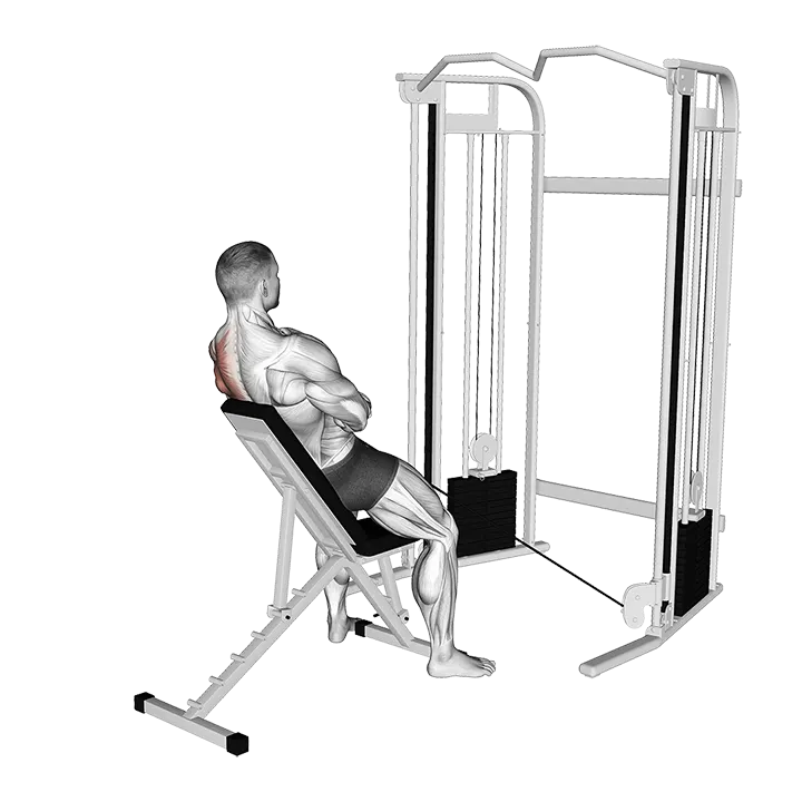 Cable Incline Single Arm Y Raise Wrist Straps with Back Support exercise animation (Male)