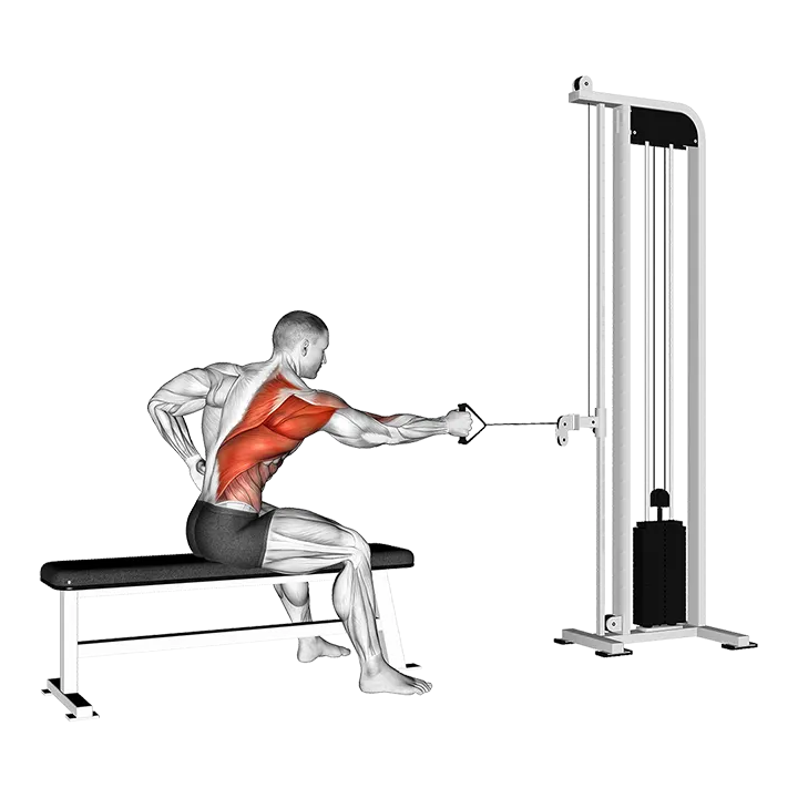 Cable Sitting Banch Single Arm Twisting Row exercise animation (Male)