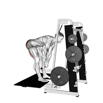 Lever Belt Romanian Deadlift (straight bar)