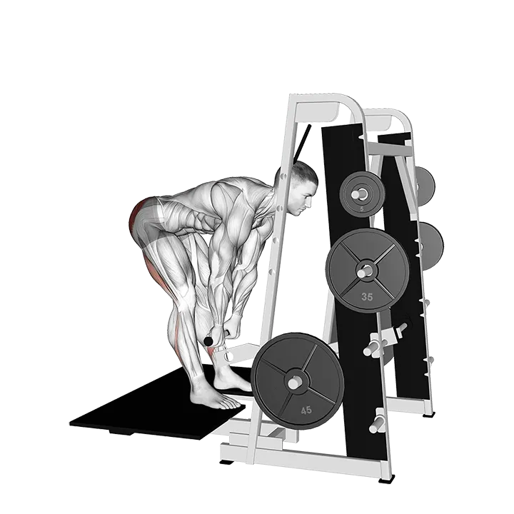 Lever Belt Romanian Deadlift (straight bar) exercise animation (Male)
