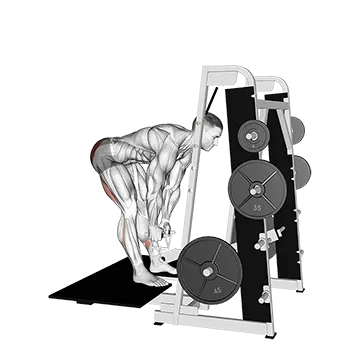 Lever Belt Romanian Deadlift (V bar)