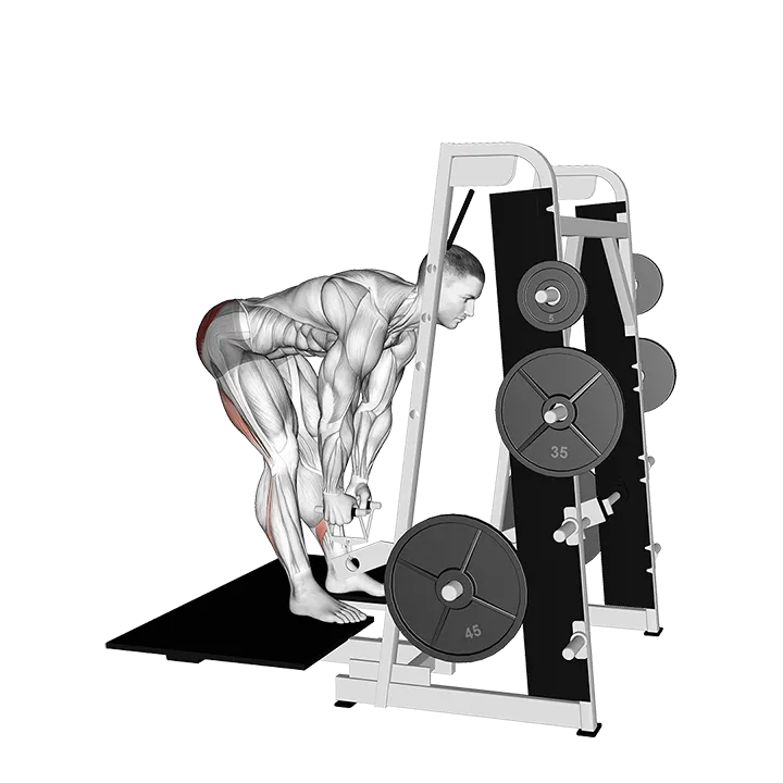 Lever Belt Romanian Deadlift (V bar) exercise animation (Male)