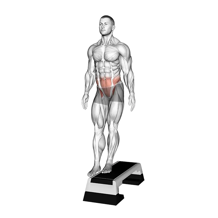 Standing Pelvic Lift exercise animation (Male)