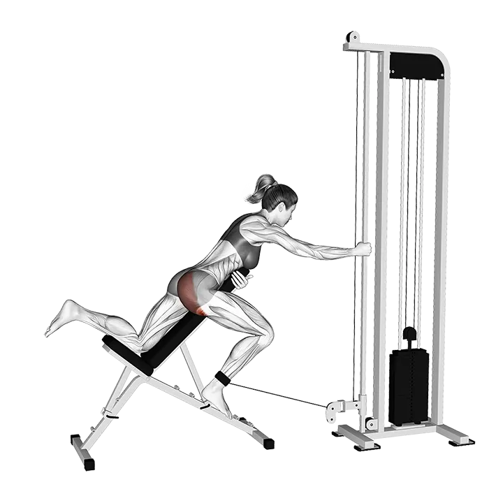 Cable Lying Incline Single Leg Kickback exercise animation (Female)