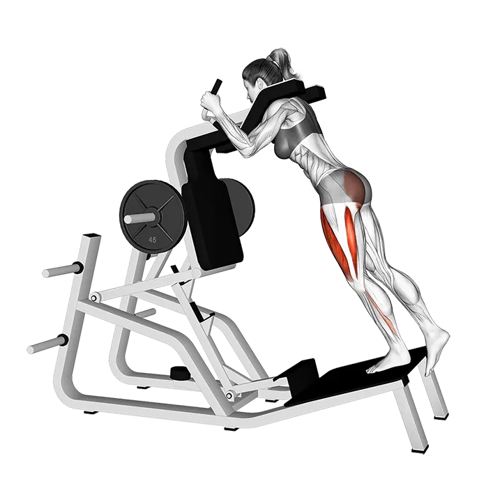 Lever Single Leg Squat on Hack Squat Machine exercise animation (Female)