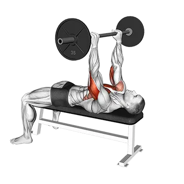 Barbell California Press