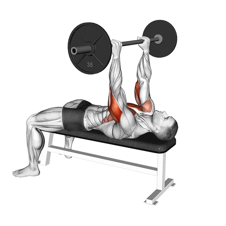 Barbell California Press exercise animation (Male)