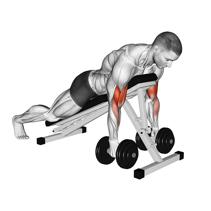 Dumbbell Spider Curl exercise animation (Male)