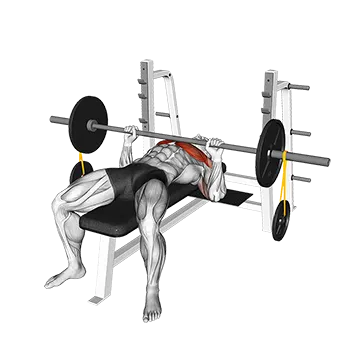 Barbell Banded Weighted Plate Bench Press