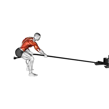 Power Sled Pull