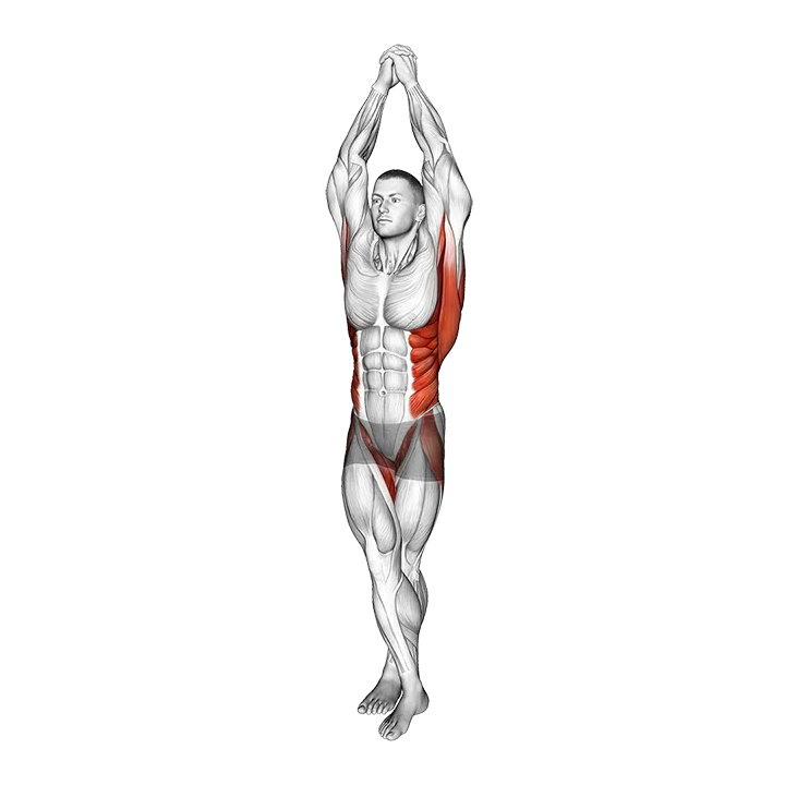Standing Cross Legs Core Stretch exercise animation (Male)