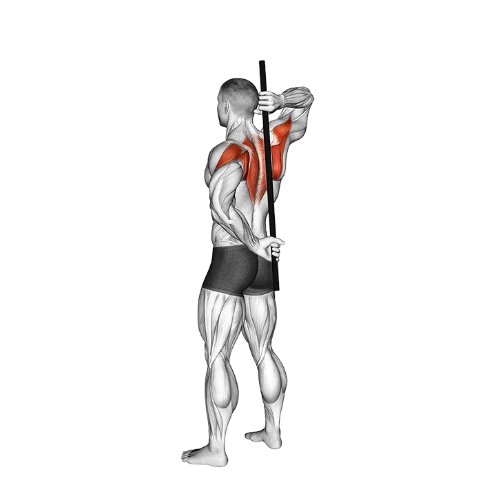 Stick Assisted Standing Shoulder Internal Rotation exercise animation (Männlich)