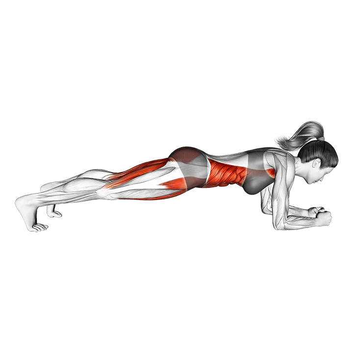 Plank Knee Tap exercise animation (Female)